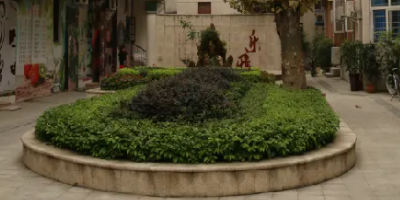 <b>成都市蜀興職業(yè)中學(xué)</b>