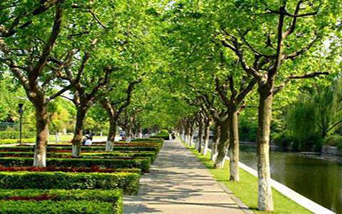 達縣亭子職業高級中學2023招生專業有哪些?電子技術應用專業就業怎么樣